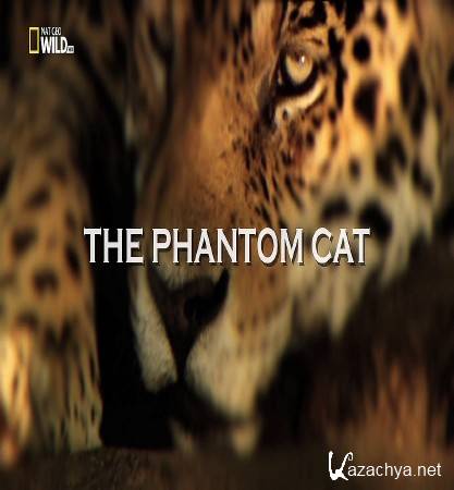   / The Phantom Cat (2012) HDTV 1080i