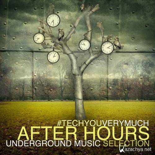 TechYouVeryMuch After Hours (Underground Music Selection) (2016)