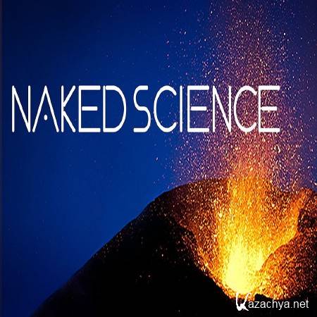    .    / Naked Science. Finding the Origin of Life (2010) HDTV (1080i)