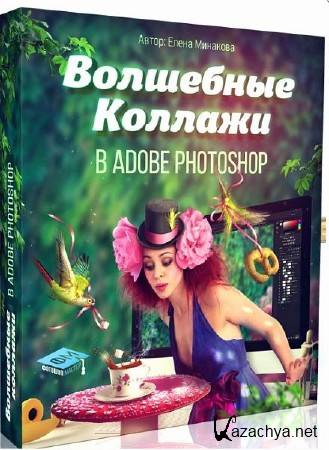    Adobe Photoshop.  (2016)