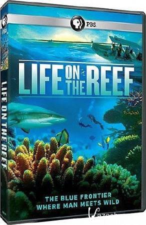      (1-3   3) / Life on the Barrier Reef (2014) HDTVRip (AVC)