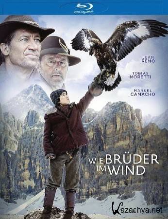   / Brothers of the Wind (2015) HDRip/BDRip 720p/BDRip 1080p