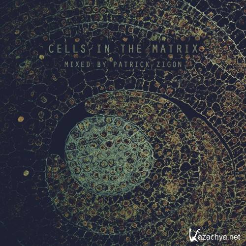 Cells In The Matrix (Mixed By Patrick Zigon) (2016)