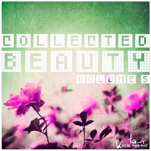 Collected Beauty, Vol. 5 (2016)