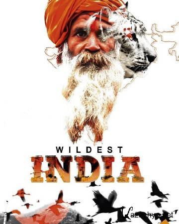   .    / The Great Indian Plains (2015) HDTVRip (720p)