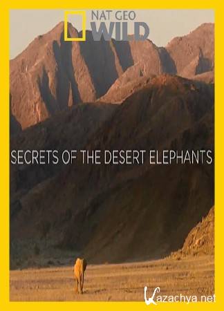  -    / Secrets of The Desert Elephants (2013) HDTV (1080i)