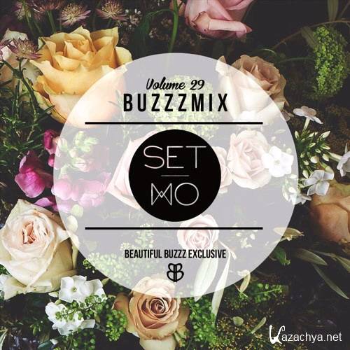 Set Mo - Buzzzmix Vol. 29 (2016)