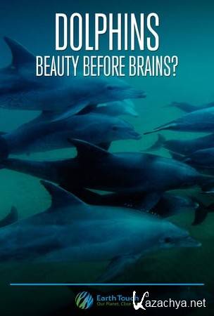 :    / Dolphins: Beauty Before Brains? (2011) HDTVRip (720p)