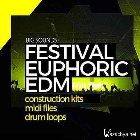 VA - Big Sounds Festival Euphoric (2016)