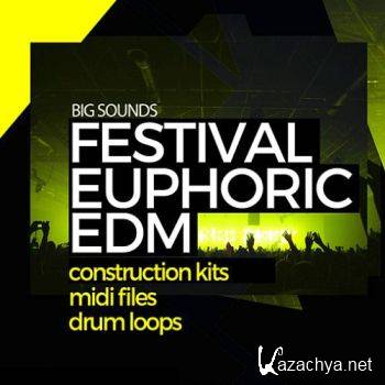 Big Sounds Festival Euphoric (2016)