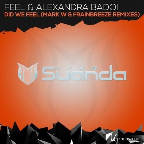 Feel & Alexandra Bado i- Did We Feel (Remixes) (2016)