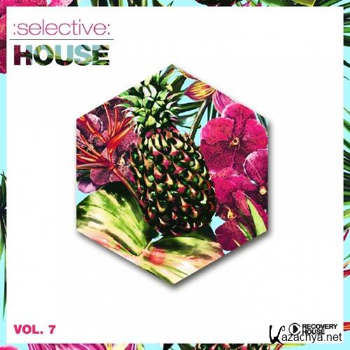 Selective House Vol 7 (2016)