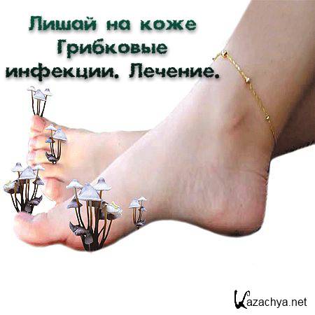 ����� �� ���� ��������� ��������. ������� (2016) WEBRip