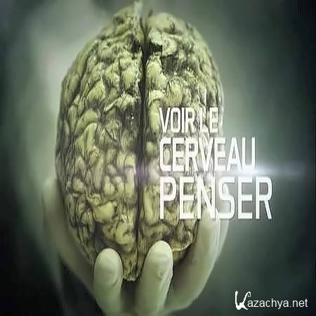     / Voir le cerveau penser (2014) SATRip