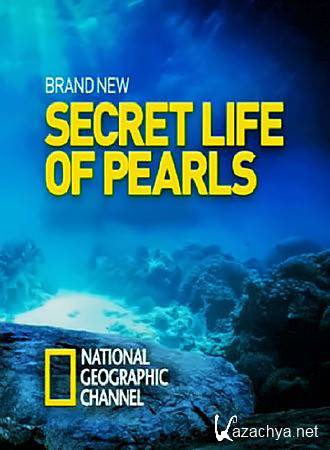    / The Secret Life of Pearls (2015) HDTV 1080i