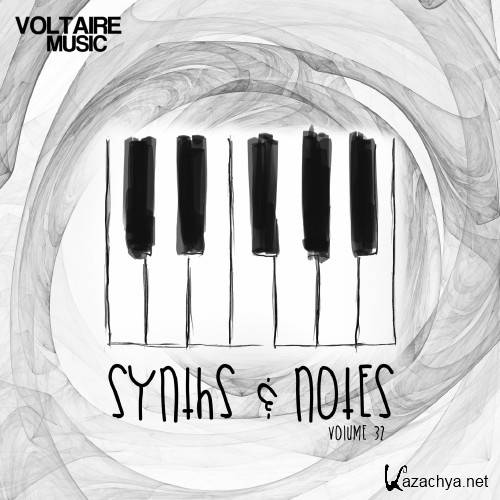 Synths And Notes 32 (2016)