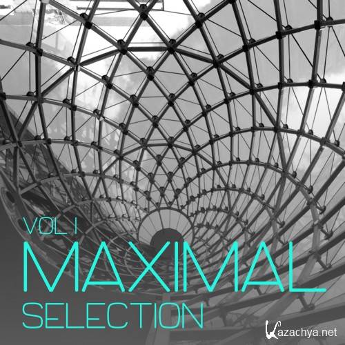 Maximal Selection, Vol. 1 - Minimal Tunes (2016)