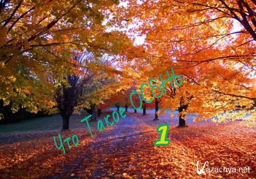 ��� ����� ����� (2016)