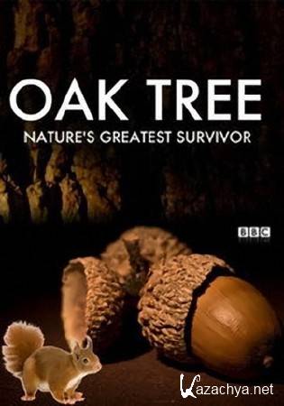  -   / Oak Tree: Nature's Greatest Survivor (2016) HDTVRip (720p)