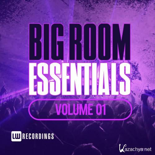 Big Room Essentials, Vol. 01(2016)