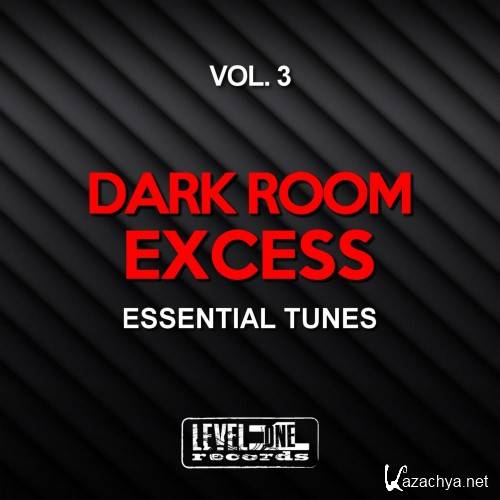 Dark Room Excess, Vol. 3 (Essential Tunes) (2016)