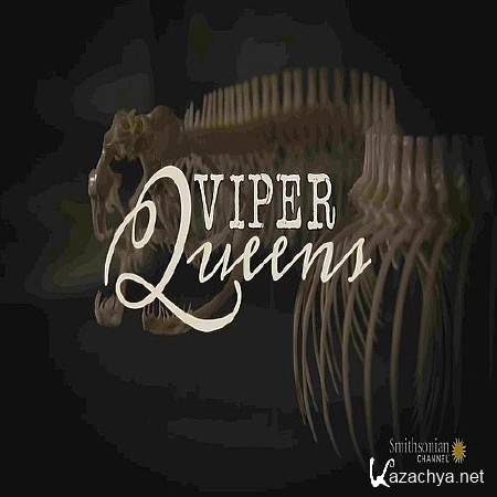   / Viper Queens (2016) SATRip