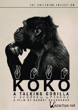 . ,    / Koko: The Gorilla Who Talks to People (2016) WEBRip (720p)