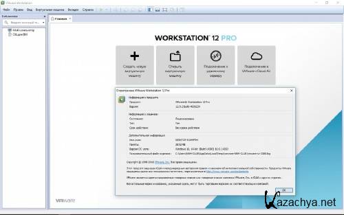 VMware Workstation 12 Pro 12.5.2 Build 4638234 [x64] (2015) PC