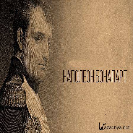 .   ? / Napoleon: Hero or Tyrant? (2010) SATRip