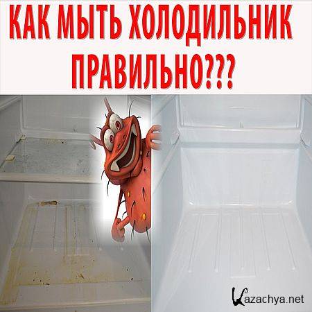 ����������� ������ ������������. ������� �������, ����� (2016) WEBRip