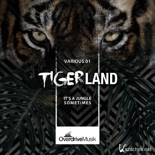 Tigerland 01 (2016)