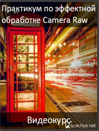 Практикум по эффектной обработке Camera Raw (2016) Видеокурс