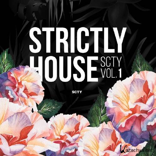 Strictly House SCTY, Vol. 1 (2017)