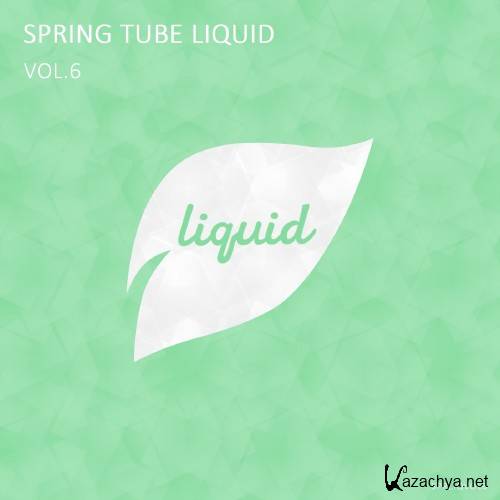 Spring Tube Liquid, Vol. 6 (2017)