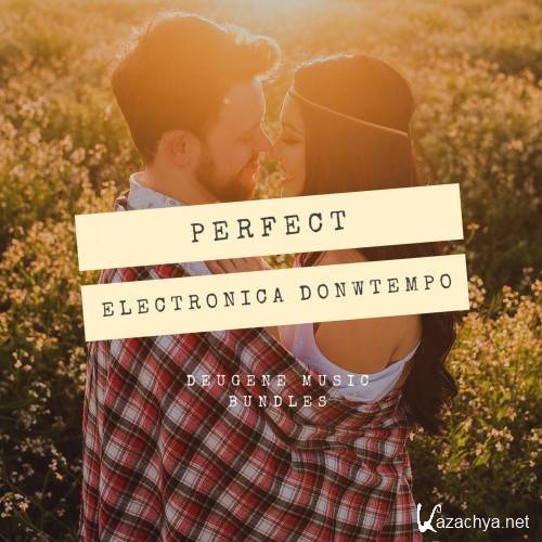 Perfect Electronica Downtempo (2017)