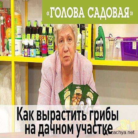 Как вырастить грибы на дачном участке (2017) WEBRip Как вырастить грибы на дачном участке (2017) WEBRip
