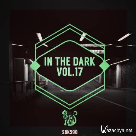 In the Dark, Vol. 17 (2017)