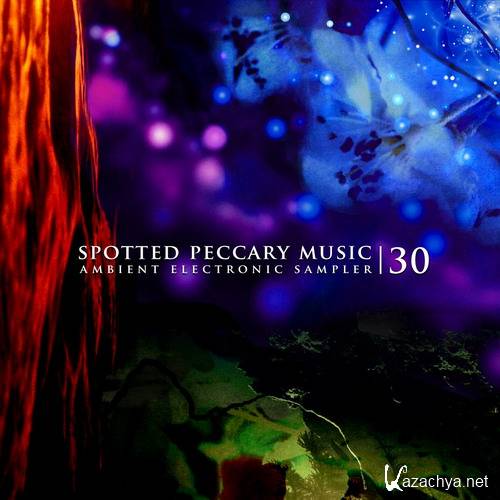Spotted Peccary 30 Ambient Electronic Sampler (2017)