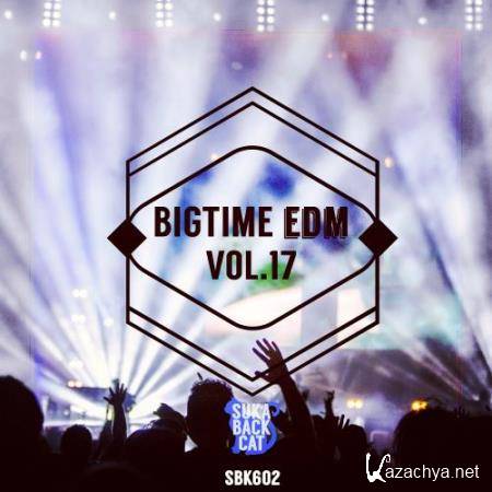 Bigtime EDM, Vol. 17 (2017)