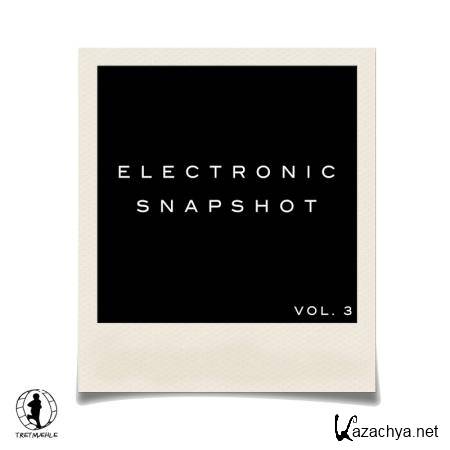 Electronic Snapshot, Vol. 3 (2017)