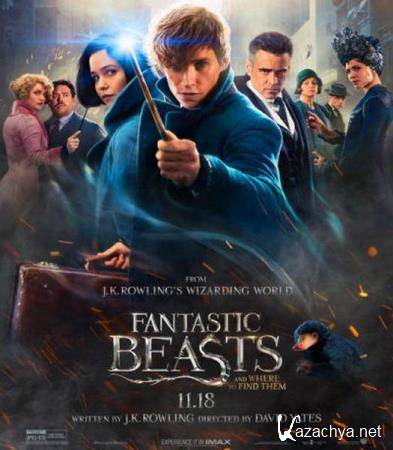        / Fantastic Beasts and Where to Find Them  (2016) BDRip