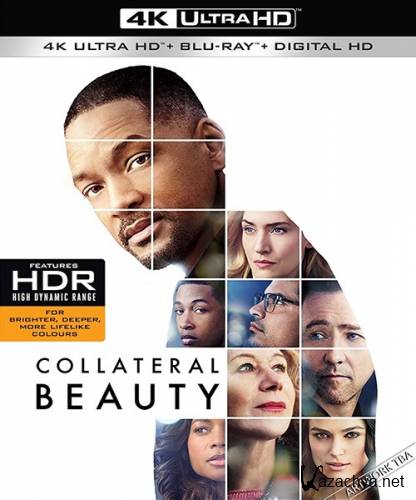   / Collateral Beauty (2016) HDRip/BDRip 720p/BDRip 1080p