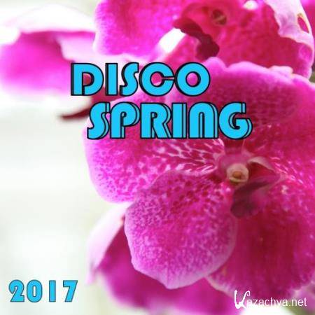 Disco Spring 2017 (2017)