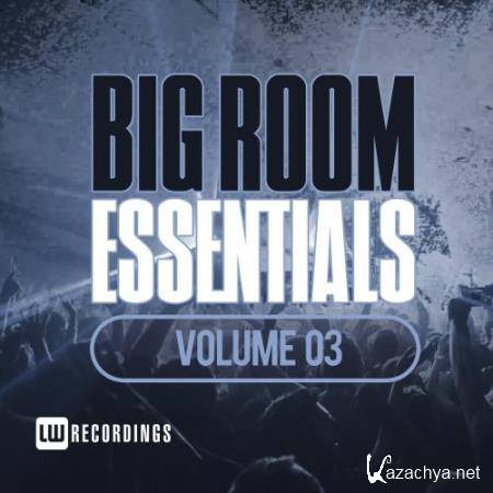 Big Room Essentials, Vol. 03 (2017)