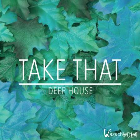 Take That Deep House, Vol. 1 (2017)
