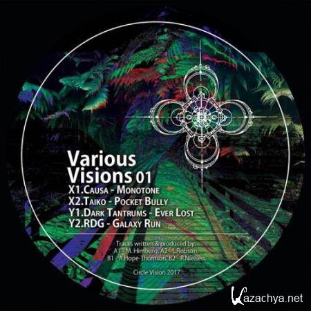 Various Visions 01 (2017)