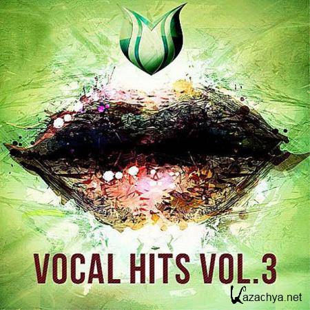VA - Vocal Hits Vol.3 (2017)
