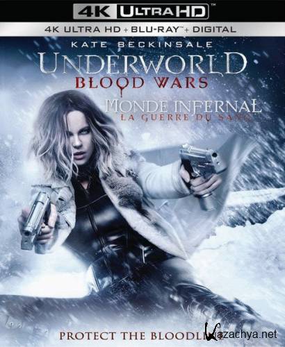  :   / Underworld: Blood Wars (2016) HDRip/BDRip 720p/1080p