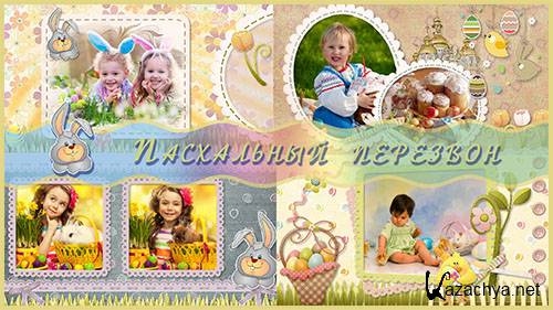   -   ProShow Producer