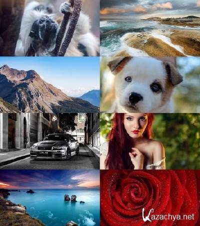 Wallpapers Mix 556